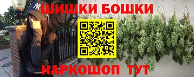 индика Кунгур
