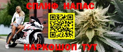 индика Кунгур