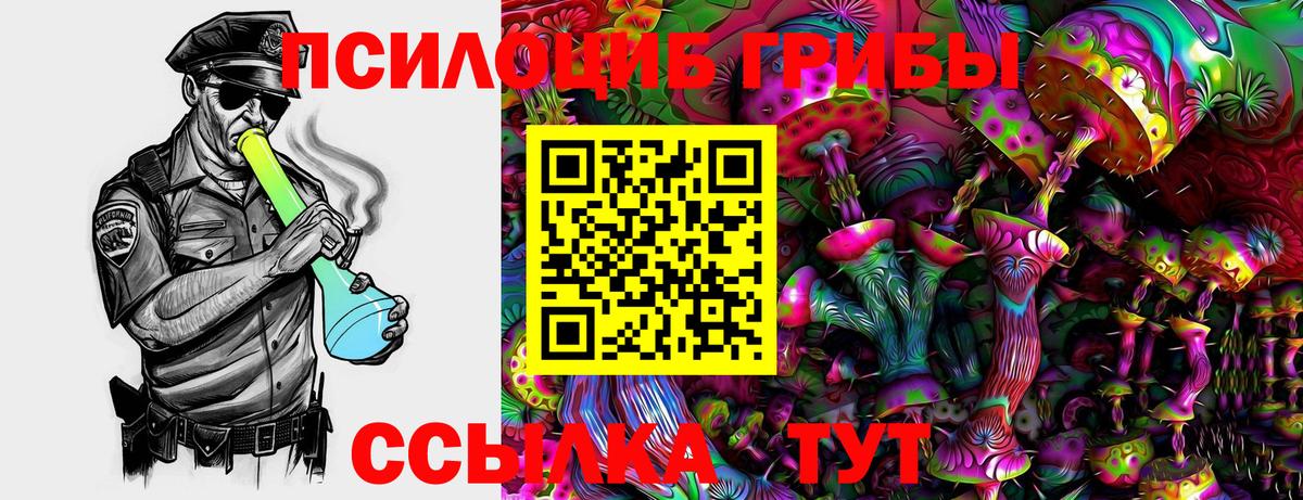 Знаменск  Псилоцибиновые грибы Psilocybine cubensis  Вход с VPN 
